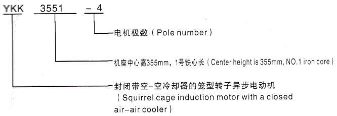 YKK系列(H355-1000)高压YJTG-100L-2A/3KW三相异步电机西安泰富西玛电机型号说明